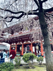 Picture of Sensoji